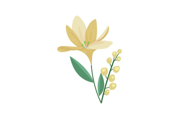 Boho Color Floral Plant Illustration Review