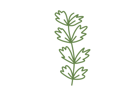 Botanic SVG: A Modern Graphic Asset for Content Publishers