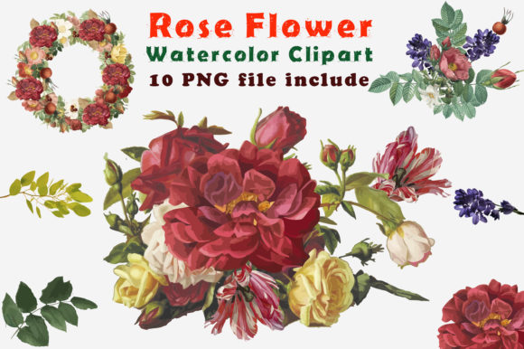 Digital Clipart Watercolor Flower Design for Illustrations and Graphics