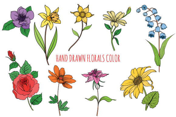 Florals Color Bundle for Graphics and Illustrations