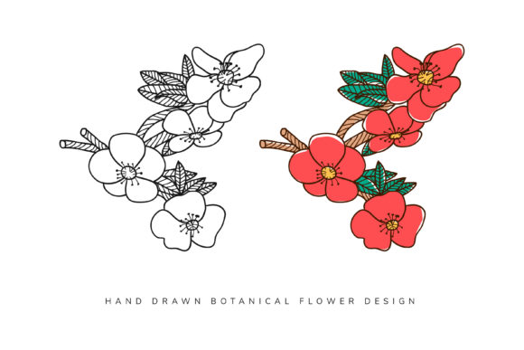 Hand Drawn Botanical Flower Element Desi for Graphics and Illustrations